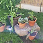 Egeria Casa Jardin Caldas De Reis
