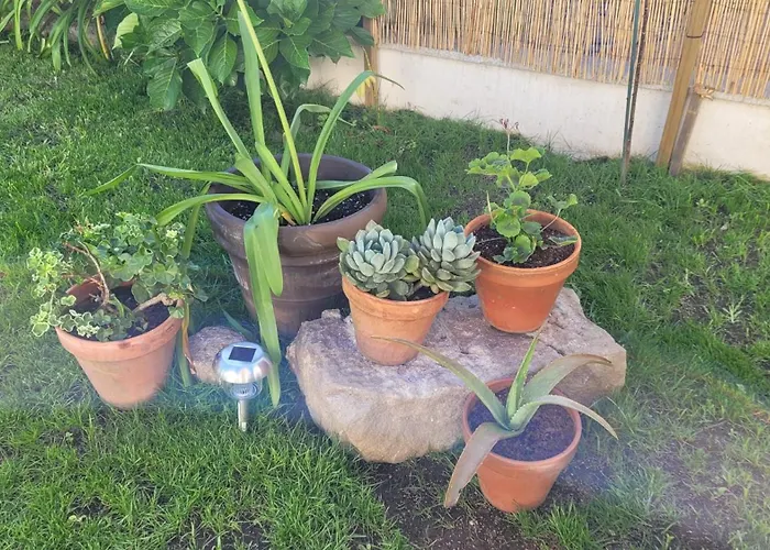 Egeria Casa Jardin Caldas De Reis